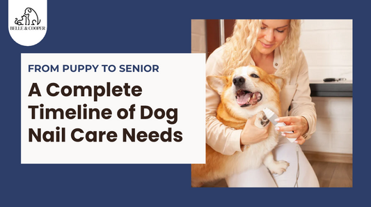From Puppy to Senior: A Complete Timeline of Dog Nail Care Needs