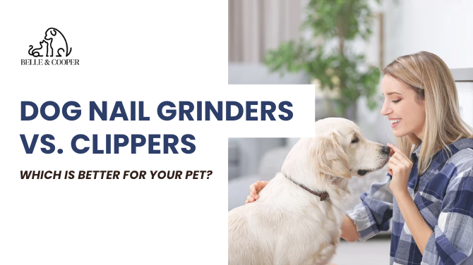 Dog Nail Grinders vs. Clippers: Which is Better for Your Pet?