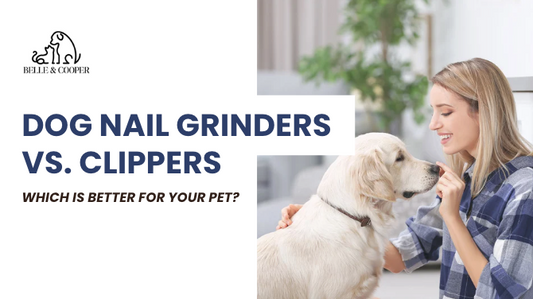 Dog Nail Grinders vs. Clippers: Which is Better for Your Pet?