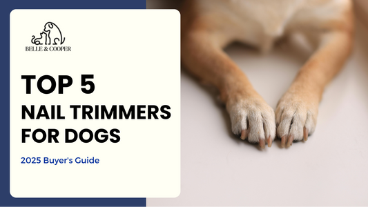 Top 5 Nail Trimmers for Dogs in Australia [2025 Buyer’s Guide]
