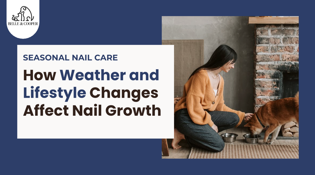 Seasonal Nail Care: How Weather and Lifestyle Changes Affect Nail Growth