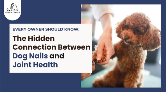 The Hidden Connection Between Dog Nails and Joint Health