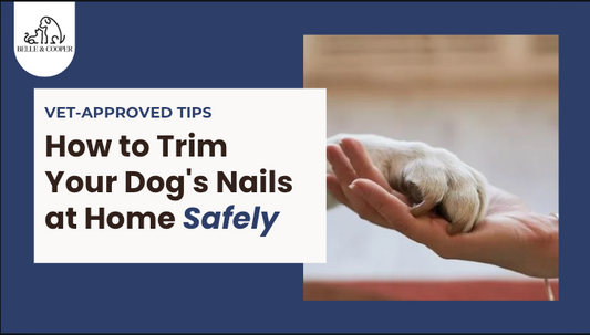 How to Trim Your Dog's Nails at Home Safely (Vet-Approved Tips)
